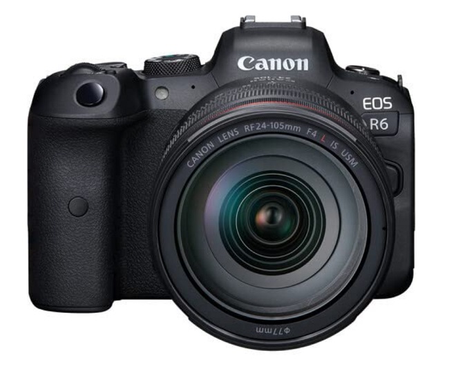 Best Canon Mirrorless Camera For Professional To Beginner Needs